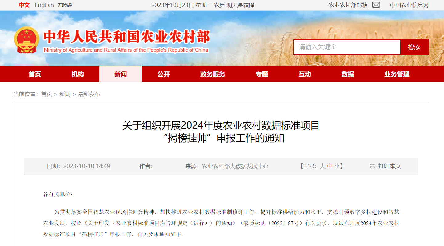 揭榜挂帅.png